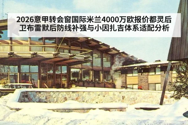 2026意甲转会窗国际米兰4000万欧报价都灵后卫布雷默后防线补强与小因扎吉体系适配分析（nine game）